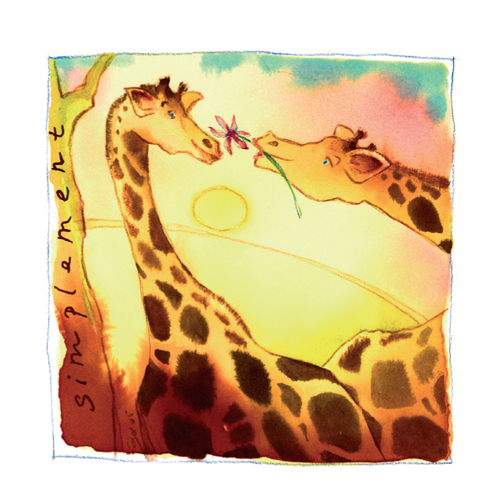 [c-mcc-0028] Amour - Girafes
